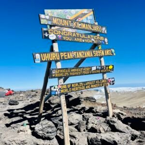uhuru peak